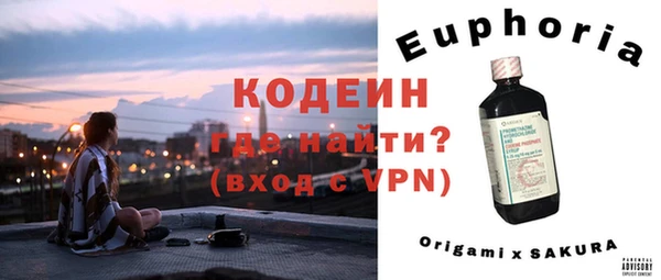 индика Гусь-Хрустальный