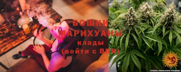 амф Горнозаводск