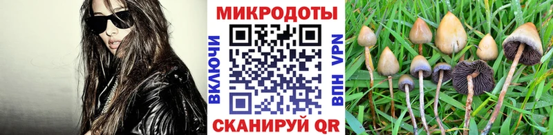 Псилоцибиновые грибы GOLDEN TEACHER  гидра зеркало  Новая Усмань 